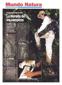 Chauves-souris vampires p. 01