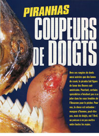 NewLook piranhas p. 02