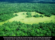 04_Paysage_48_copier