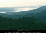 07_Haute_Amazonie_bolivienne_copier