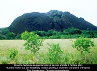 11_Paysage_41_copier