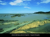 16_Littoral_atlantique_guyanais_copier